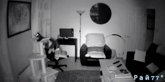 Видеокамера, установленная в гостиной квартиры, в городе Эдинбурге, запечатлела забавный момент падения упитанного кота с вершины пластмассового сооружения.