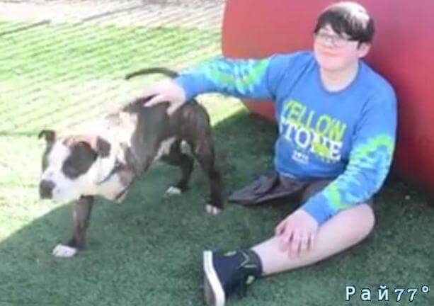 Куинн, 12-летний мальчик, поборовший раковое заболевание, но оставшийся без ноги, недавно обзавёлся трёхлапым другом, которого нашёл в приюте для бездомных животных Front Street, в городе Сакраменто (штат Калифорния).