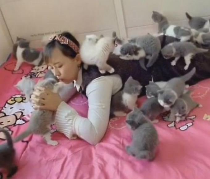 Китаянка устроила кошачий рай в своей кровати ▶