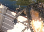 Кровожадный крокодил совершил налёт на лодку туристов и попал на видео в Австралии