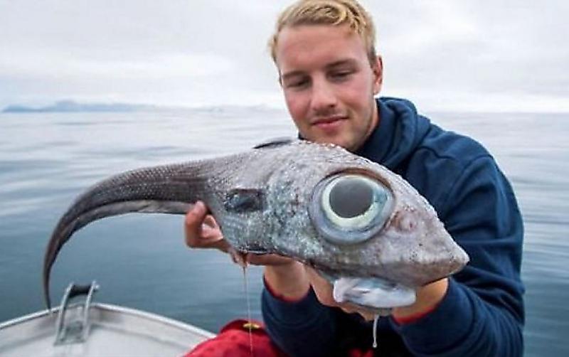 Рыбак выловил лупоглазую рыбину у побережья норвежского острова