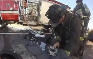 Пожарные спасли трёх щенков и вытащили их из горящего зоомагазина в США 0
