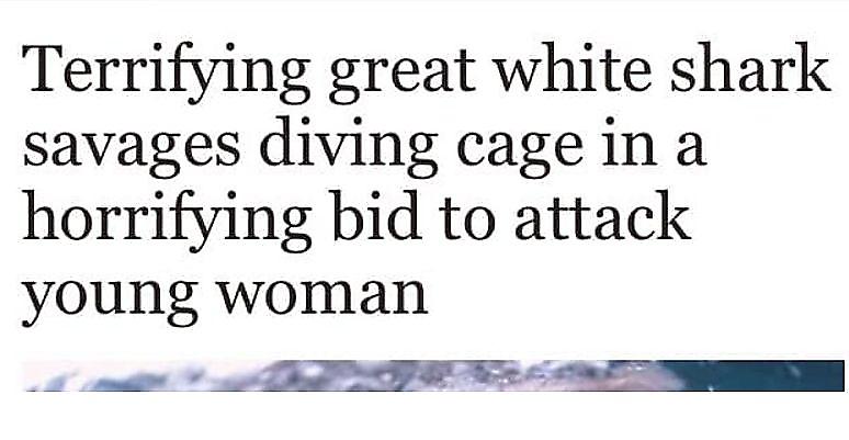 Аквалангистка, сидящая в клетке, запечатлела атаку белой акулы на себя ▶