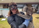 Австралийцы обманули британскую журналистку, заставив её надеть бронежилет для встречи с «ядовитой» коалой