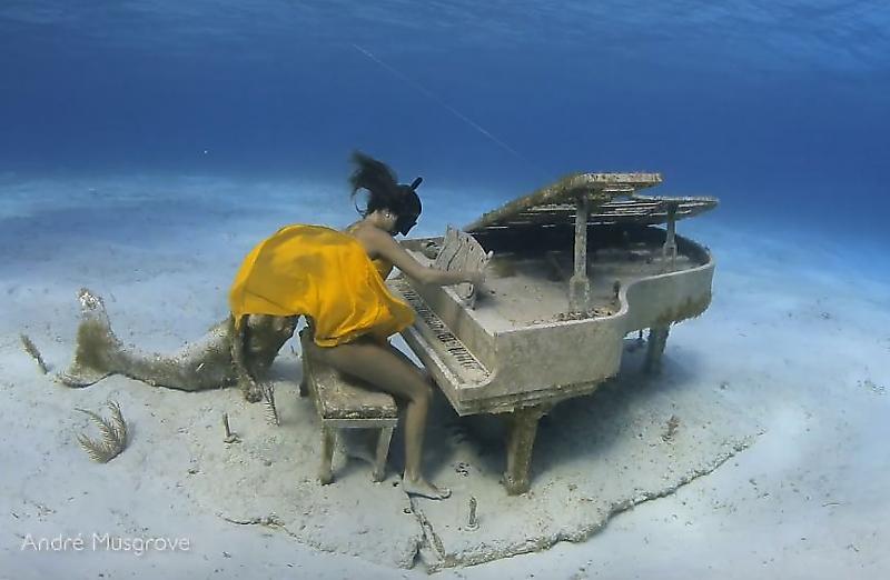 Фридайверша дала «сольный концерт» на подводном пианино ▶