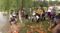 Сотни карпов кои оказались на газоне возле университета в Китае (Видео) 3