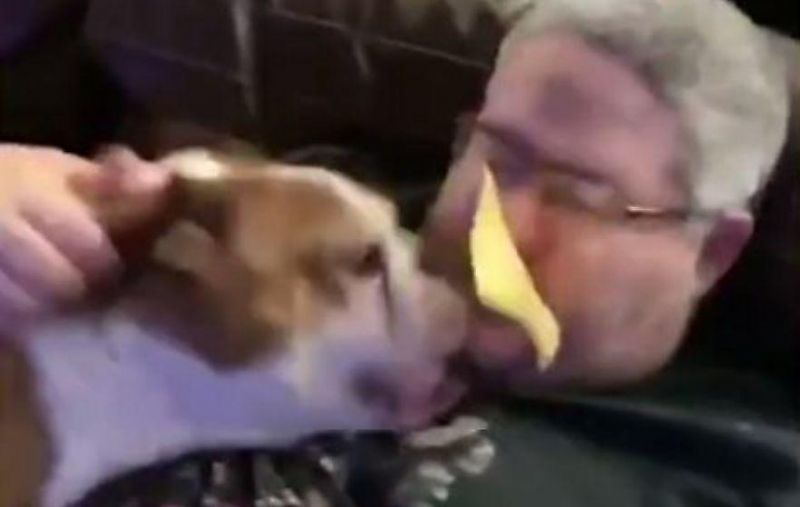 Американка покормила пса сыром, бросив его на лицо спящего приятеля ▶