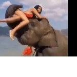 Слон перебросил через себя наглую девицу во время фотосессии в Таиланде ▶
