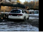 Автовладелец спилил дерево и утилизировал свой автомобиль ▶