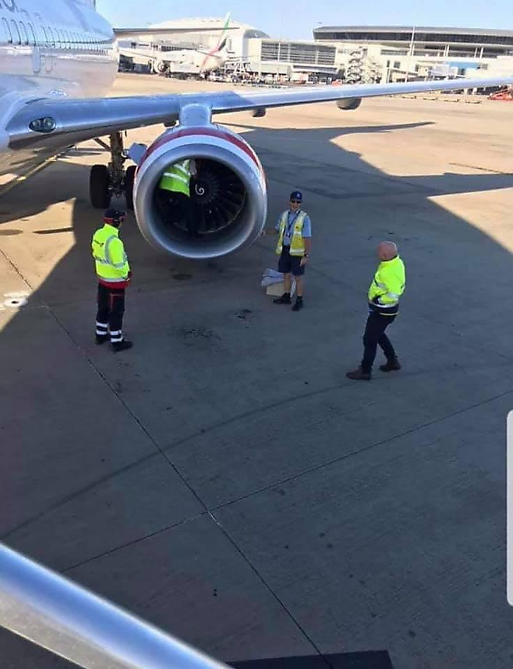 Пилот случайно обнаружил сову, спящую в двигателе самолёта