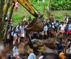 Два экскаватора и толпа местных жителей на протяжении 7-ми часов вытаскивали слона из болота в Индии (Видео) 4