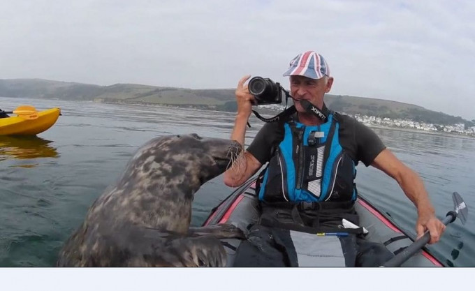 Наглый тюлень попытался забраться в надувную лодку британского туриста (Видео)