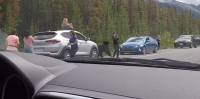 Медведь пожалел беспечную туристку, повернувшуюся к нему задом на канадской магистрали (Видео)