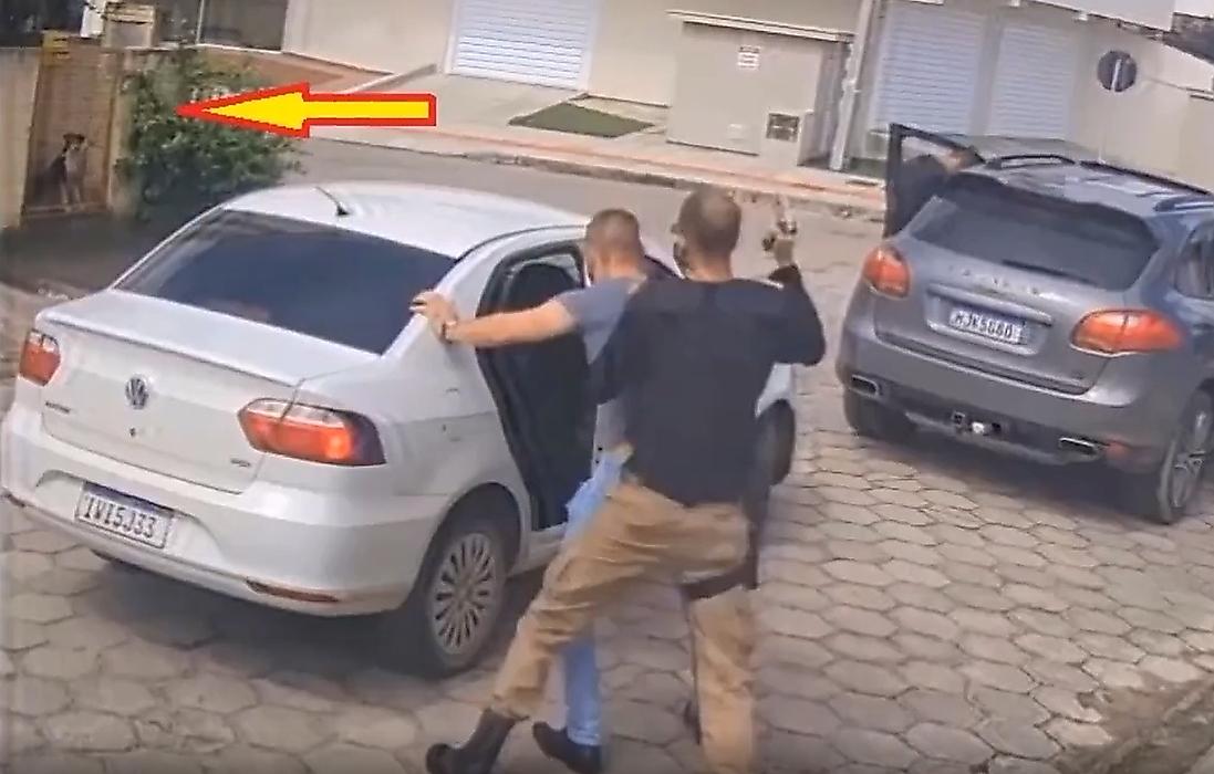Похищение водителя произошло на глазах у четвероногого свидетеля в Бразилии