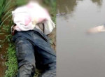 Храпящий в пруду перебравший китаец, привлёк внимание полицейских ▶