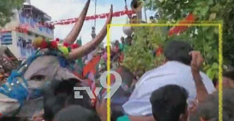 Бык атаковал толпу, несущую местного политика в Индии ▶