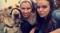 Собака - поводырь, которая не может пройти мимо любимого зоомагазина, стала знаменитой в интернете (Видео) 0