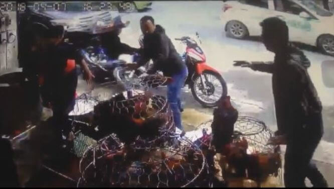Клиенты куриной лавки внезапно лишились мотоцикла на автомагистрали во Вьетнаме (Видео)