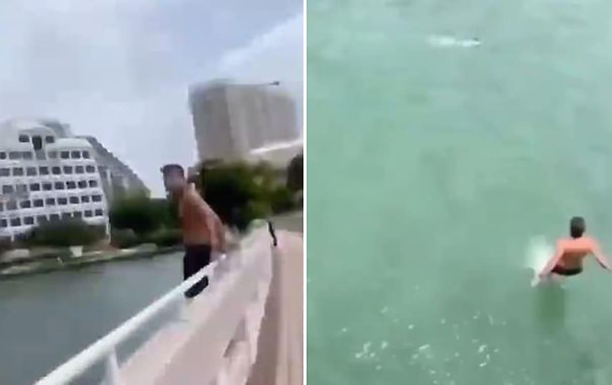 Бегун спрыгнул с моста и спас тонущую собаку в Майами