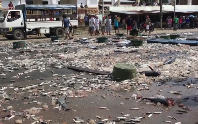 Местные жители устроили рыбный день и растащили морепродукты, выпавшие из перевернувшегося грузовика на Филиппинах (Видео)
