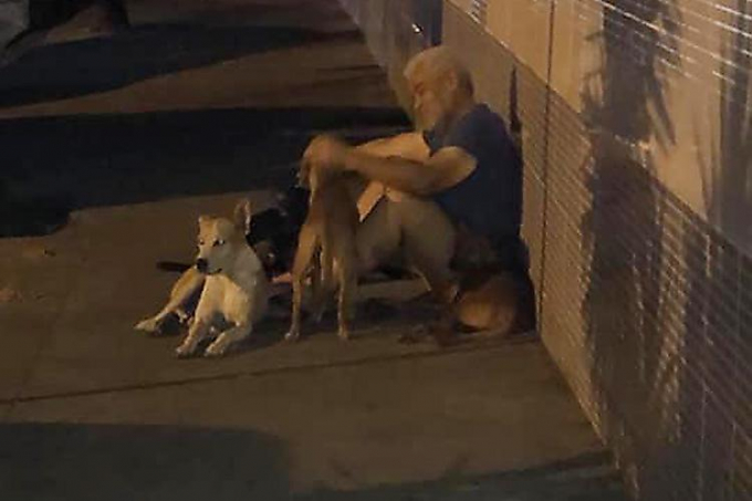 Шесть псов сопроводили своего бездомного хозяина до больницы в Бразилии