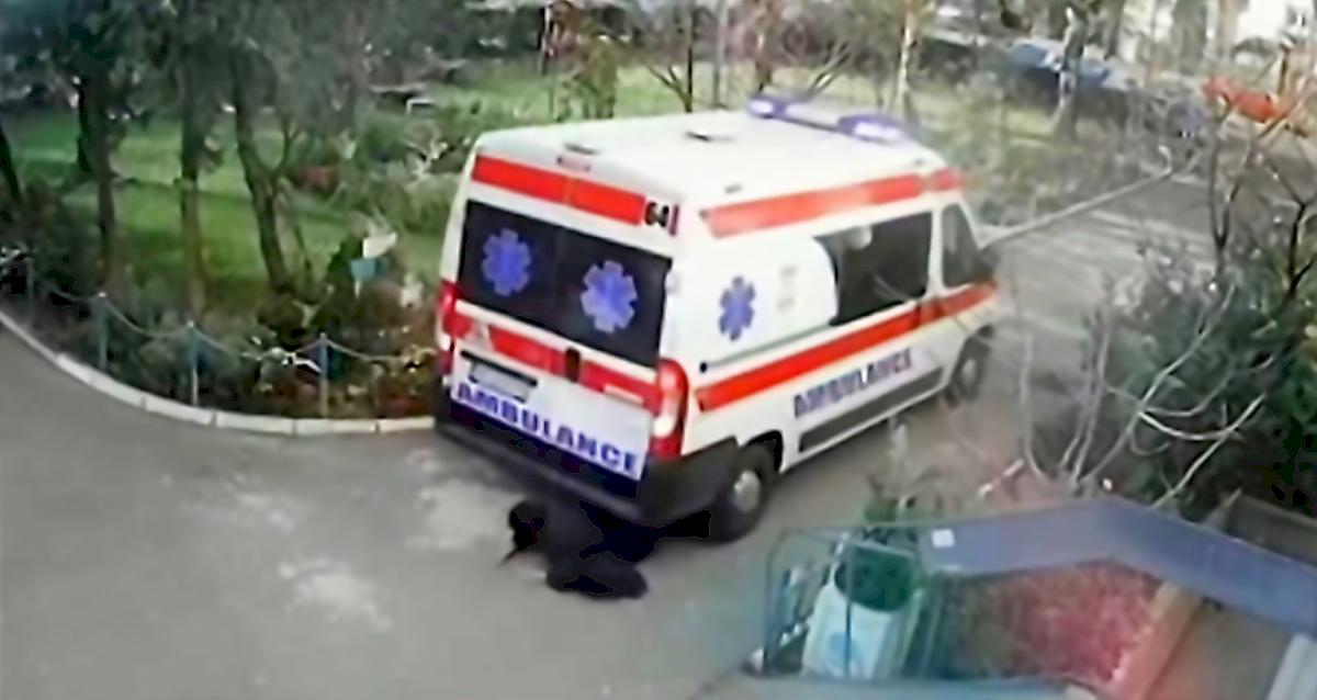 Медики спасли пенсионерку, угодившую под колёса скорой помощи в Сербии
