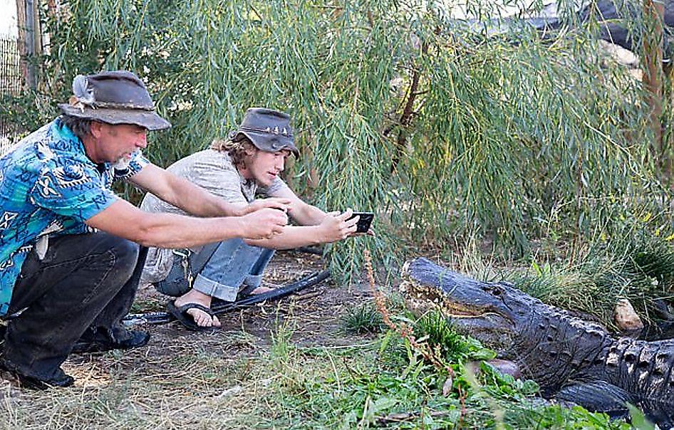 Владелец крокодиловой фермы привлёк юную родственницу к уходу за рептилиями ▶