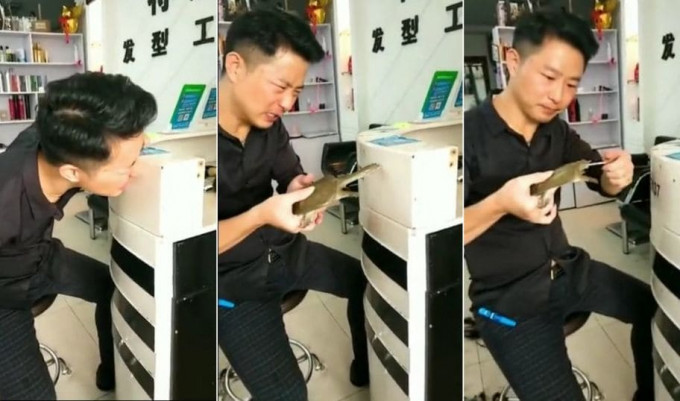 Китаец использовал черепаху в качестве шуруповёрта (Видео)