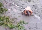 Смелый спасатель поймал сразу двух змей, упавших с дерева в Тайланде (Видео)
