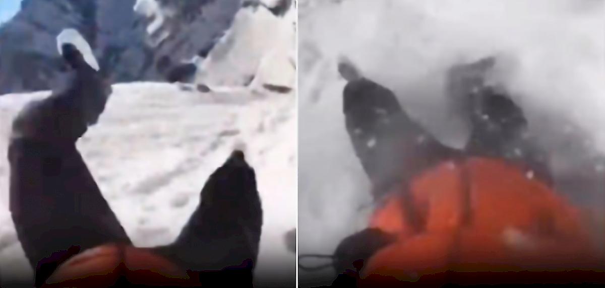 Лыжник совершил экстремальный спуск на пятой точке с горы и шокировал сеть