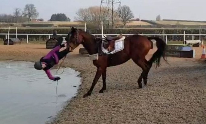 Лошадь «остудила» свою наездницу и скинула её в пруд в Британии (Видео)