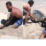 Отдыхающие спасли перевернувшуюся на пляже гигантскую черепаху (Видео)