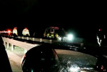 Полицейские, на протяжении часа ловившие беглого быка, создали пробку на автотрассе в Британии (Видео)