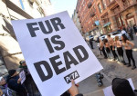 Топлес-протестанты, выступающие за права животных, устроили митинг в Нью-Йорке (Видео) 4