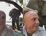 Любопытный слон исследовал лагерь туристов в Зимбабве (Видео)