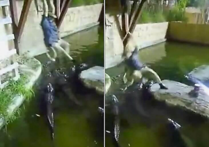 Тарзанка не выдержала веса экстремала, упавшего в водоём к крокодилам (Видео)