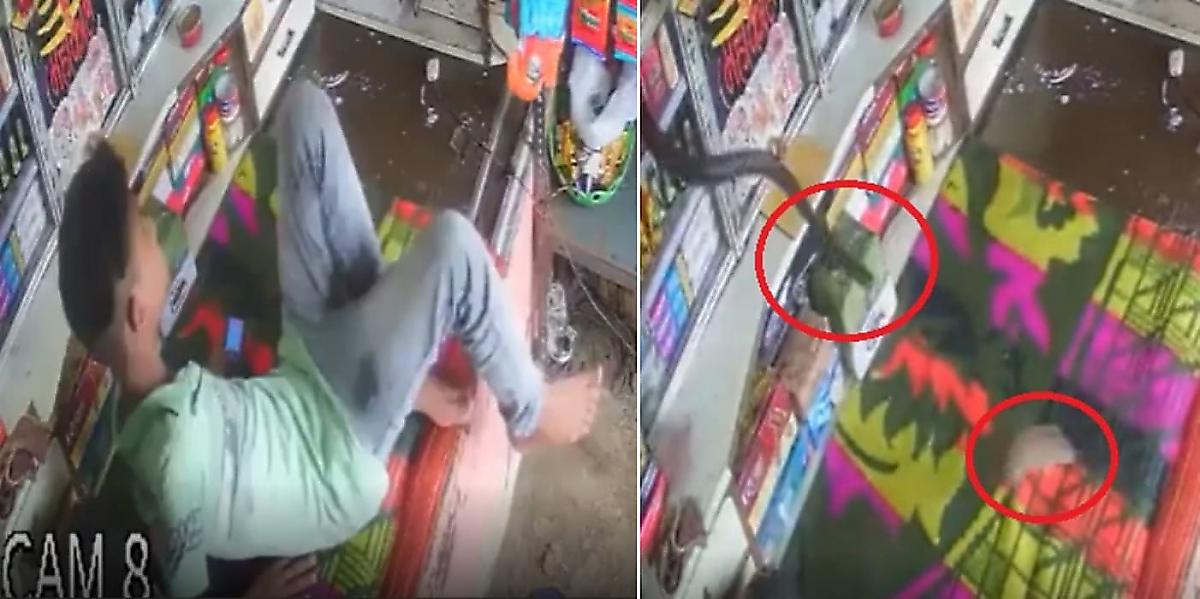 Змея, погнавшаяся за крысой, вынудила индийца уносить ноги из магазина