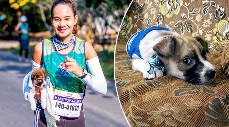 Тайская бегунья подобрала брошенного щенка во время марафона ▶