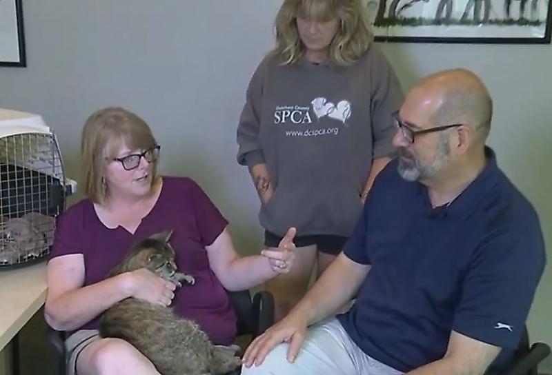 Блудный кот спустя 11 лет воссоединился со своими хозяевами ▶