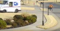 Почтальон неожиданно «катапультировался» из автомобиля в США (Видео)