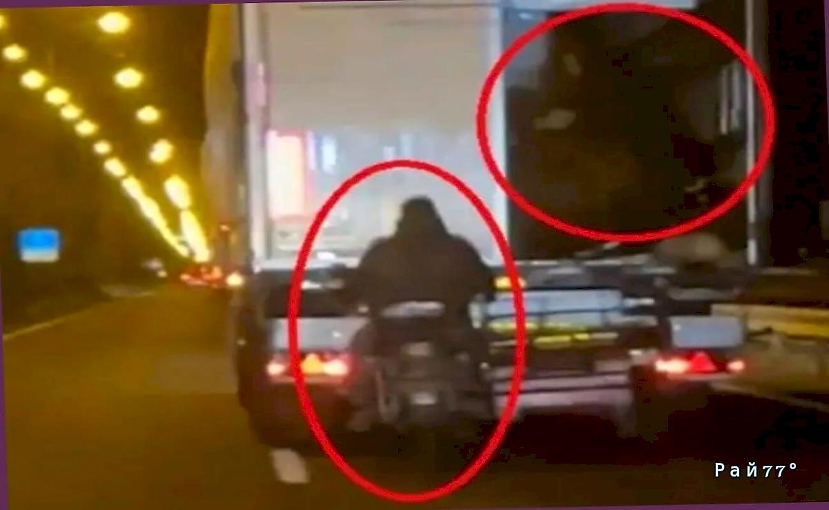 Овцекрады, ворующие животных из движущейся скотовозки, попали на видео в Турции