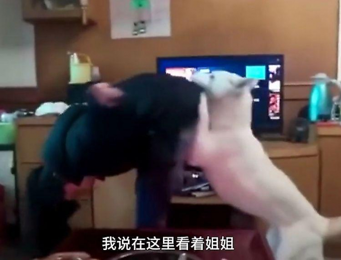 Китаец обучил собаку присматривать за дочерью, когда она делает уроки ▶