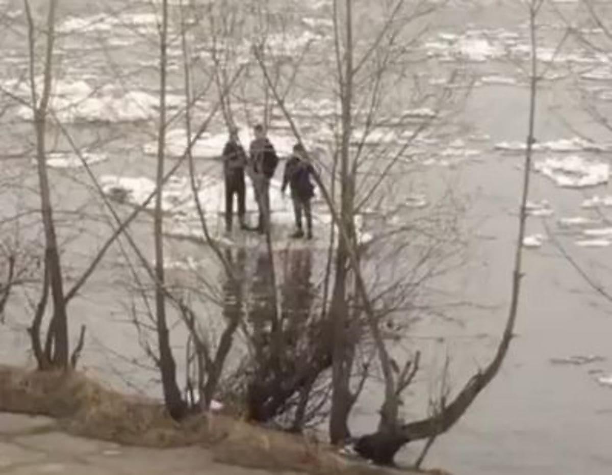 Трое молодых парней, сплавлявшихся на льдине, привлекли внимание местного жителя