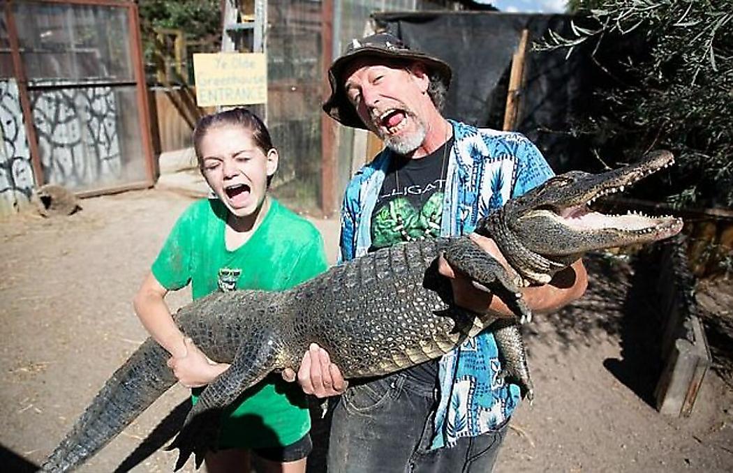 Владелец крокодиловой фермы привлёк юную родственницу к уходу за рептилиями ▶