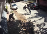 Вооружённые налётчики, встретив сопротивление, бросили автомобиль и позорно бежали из дома в Бразилии ▶