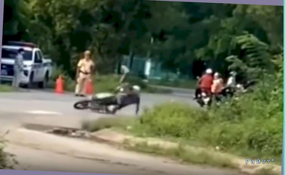 Птица «подбила» мотоциклиста на глазах у полицейского ▶️ Птица «подбила» мотоциклиста на глазах у полицейского ▶️