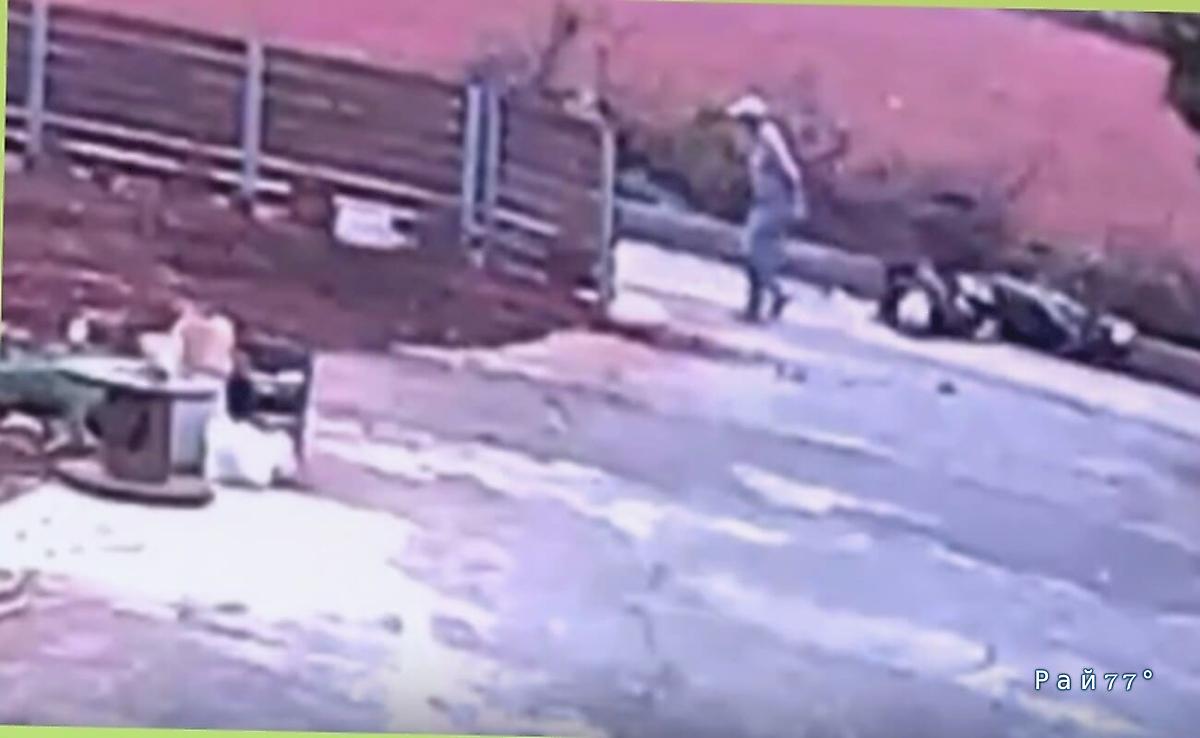 Олень, испугавшись старика, преградил путь мотоциклисту Олень, испугавшись старика, преградил путь мотоциклисту