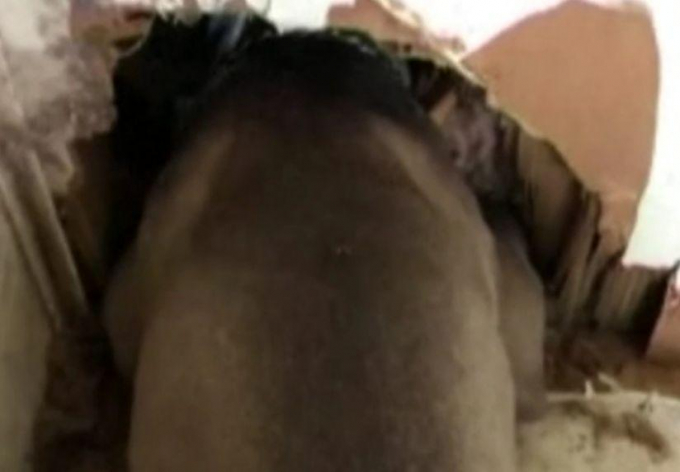 Собака застряла в вентиляционном отверстии дома в США ▶