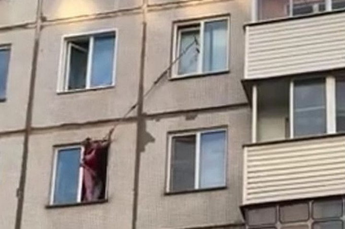 Жительница Новосибирска, рискуя своей жизнью, спасла застрявшего на карнизе соседского кота (Видео)