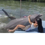 Водоплавающий обитатель кубинского аквапарка продемонстрировал туристке настоящую дельфинью любовь ▶